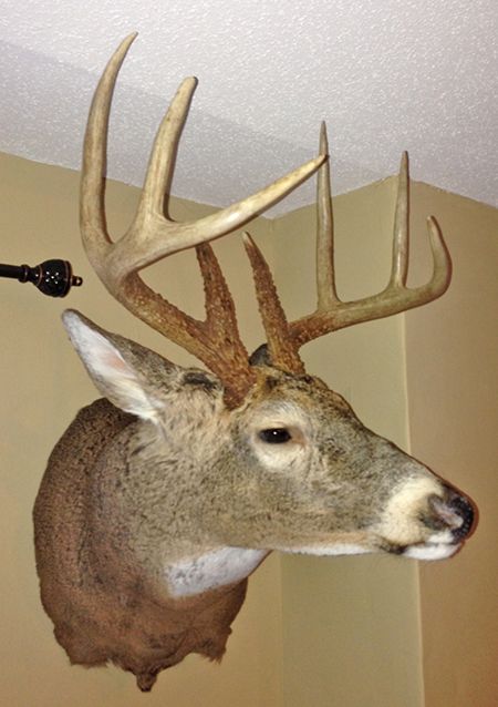 '12 Bow Side