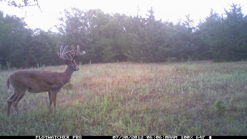 120730AA Frame275