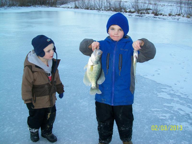 15 inch crappie 2-3-13