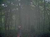 161-th Im000319 1