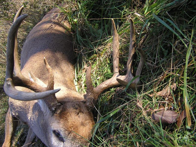 1st Buck 010
