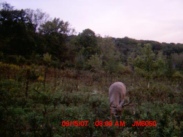 2007 Pictures