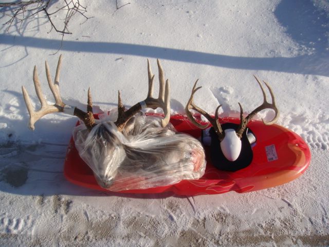 2009-10 bow harvest