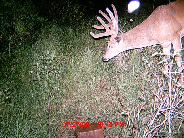 2009 80 Acres 1st Camera 223