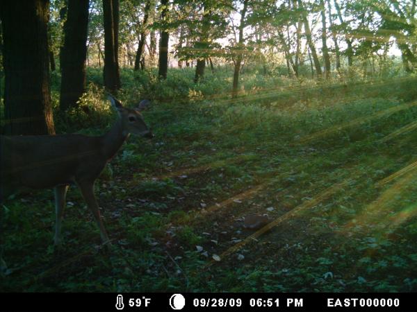 2009 West Deer Pics
