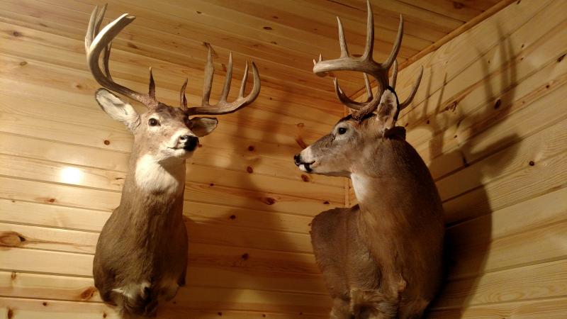 2010buck3