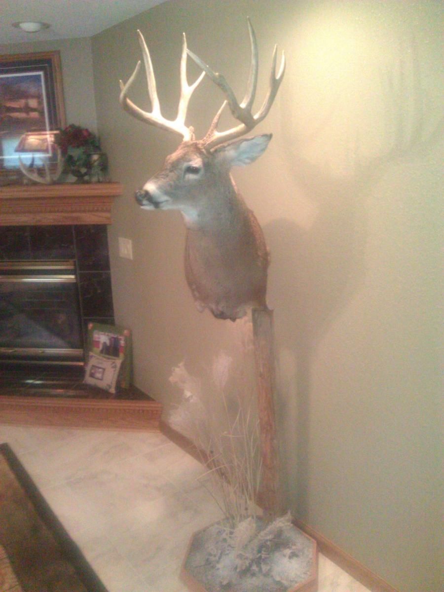 2011 Buck