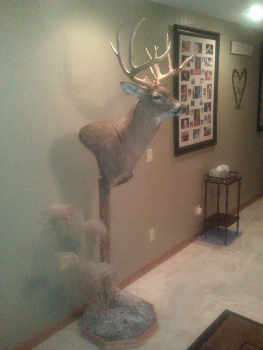 2011 Buck