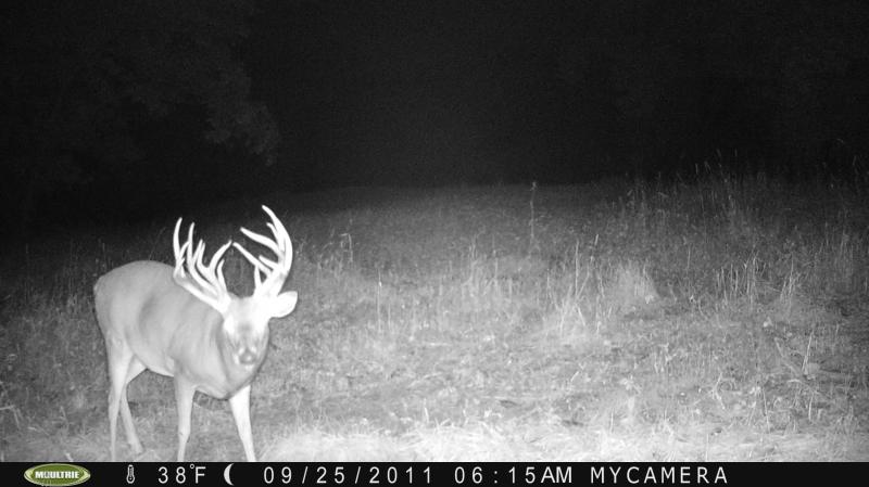 2011 Food Plot Pics 239