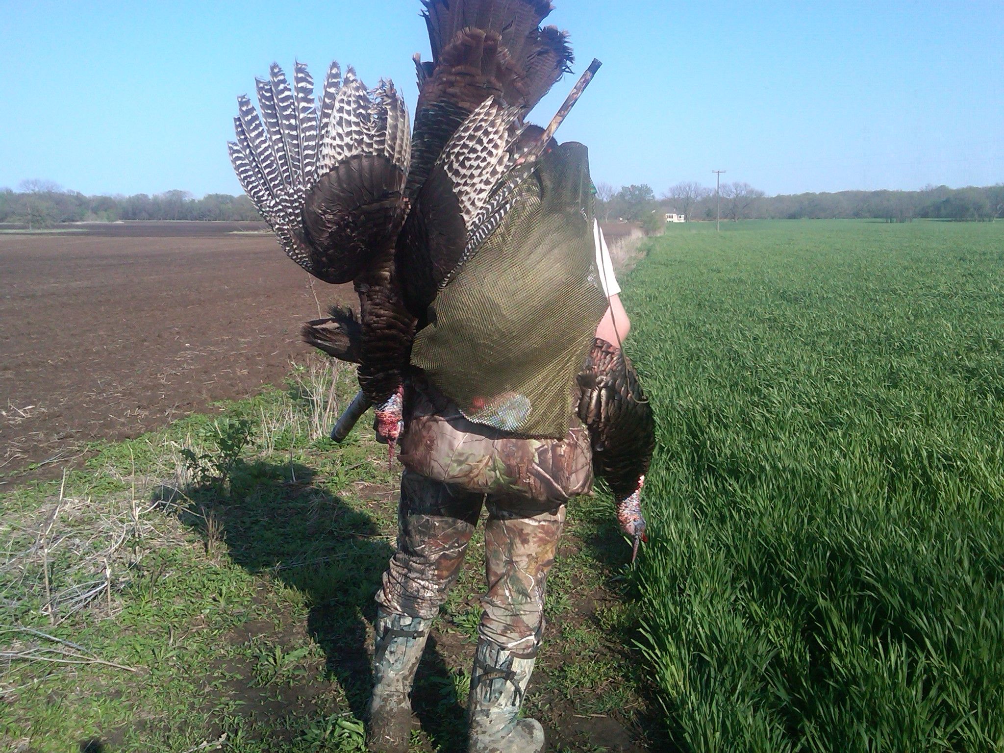 2011 Kansas Turkeys