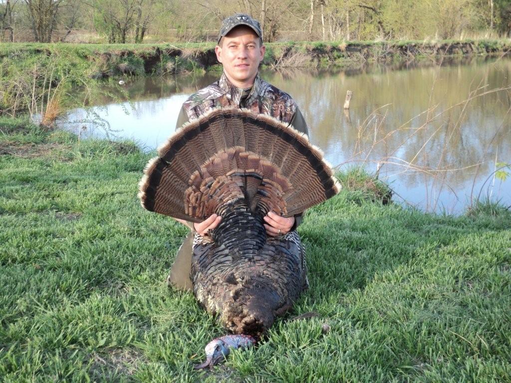 2011 Kansas Turkeys
