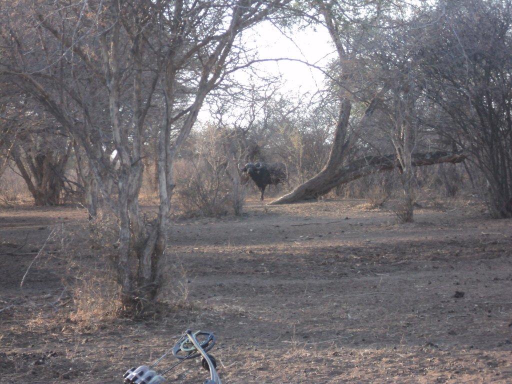 2012 African Safari