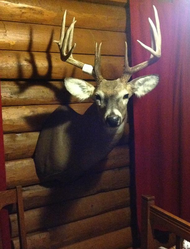 2012 archery