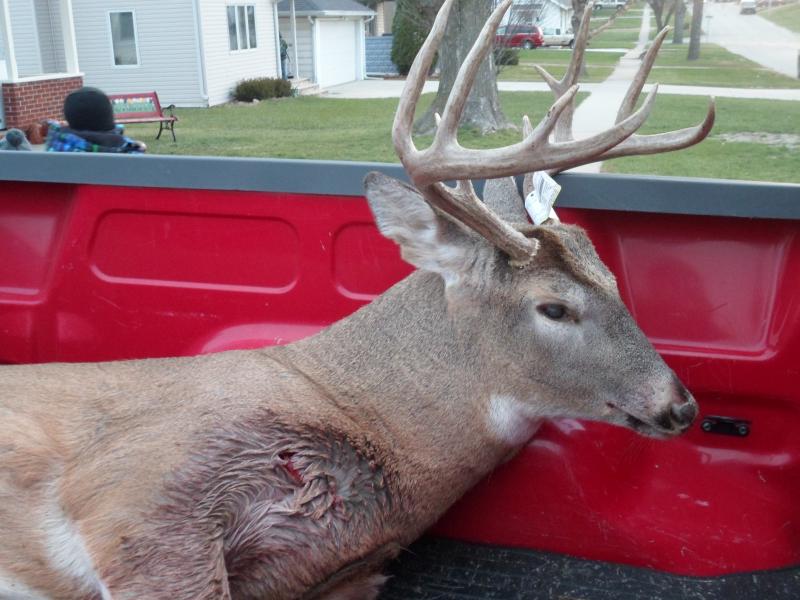 2012 bow buck
