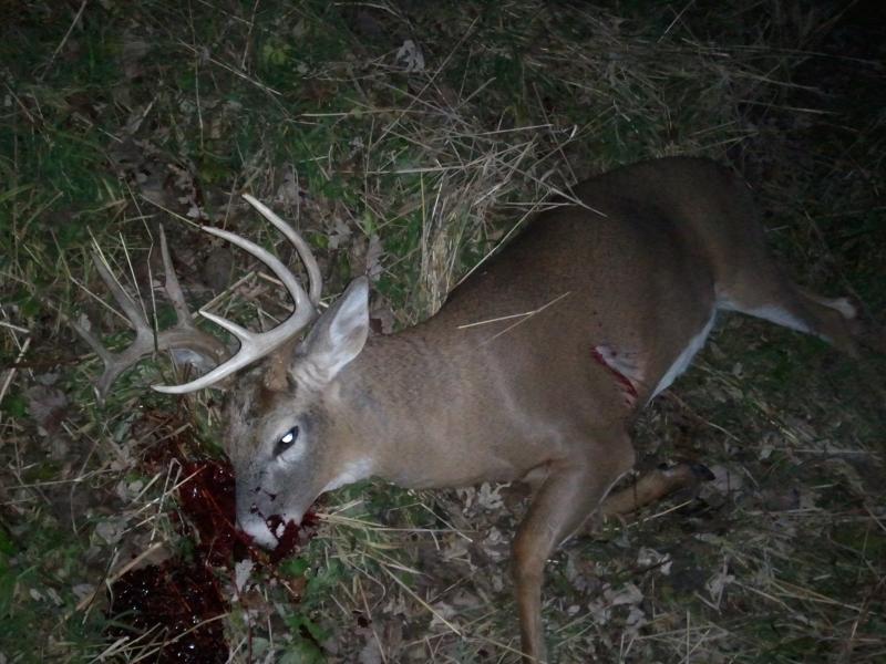 2012 bow kill