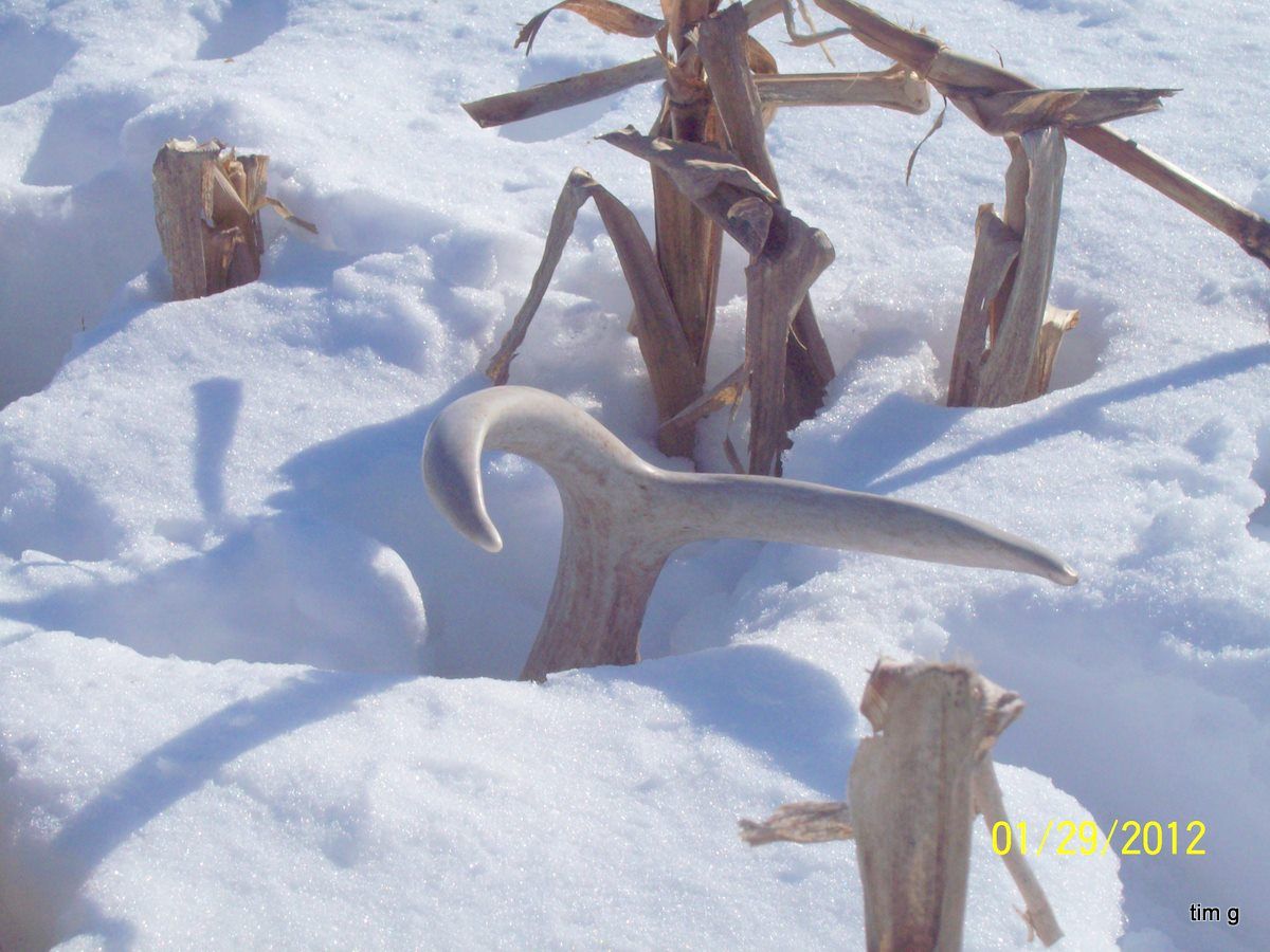 2012 Eastern Iowa Shed Find