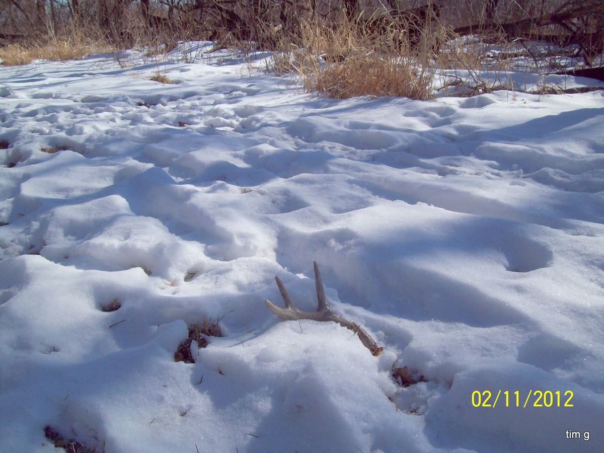 2012 Eastern Iowa Shed Find