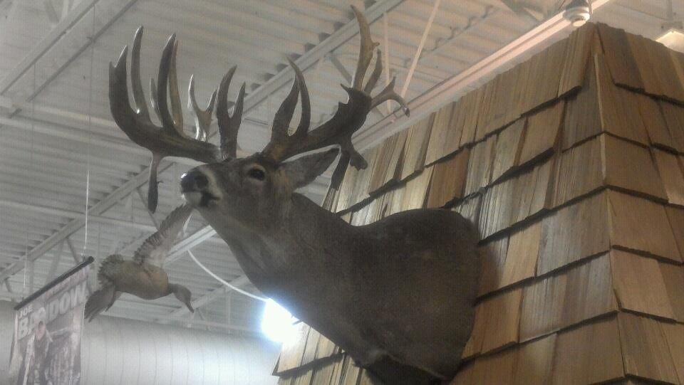 2012 Mount