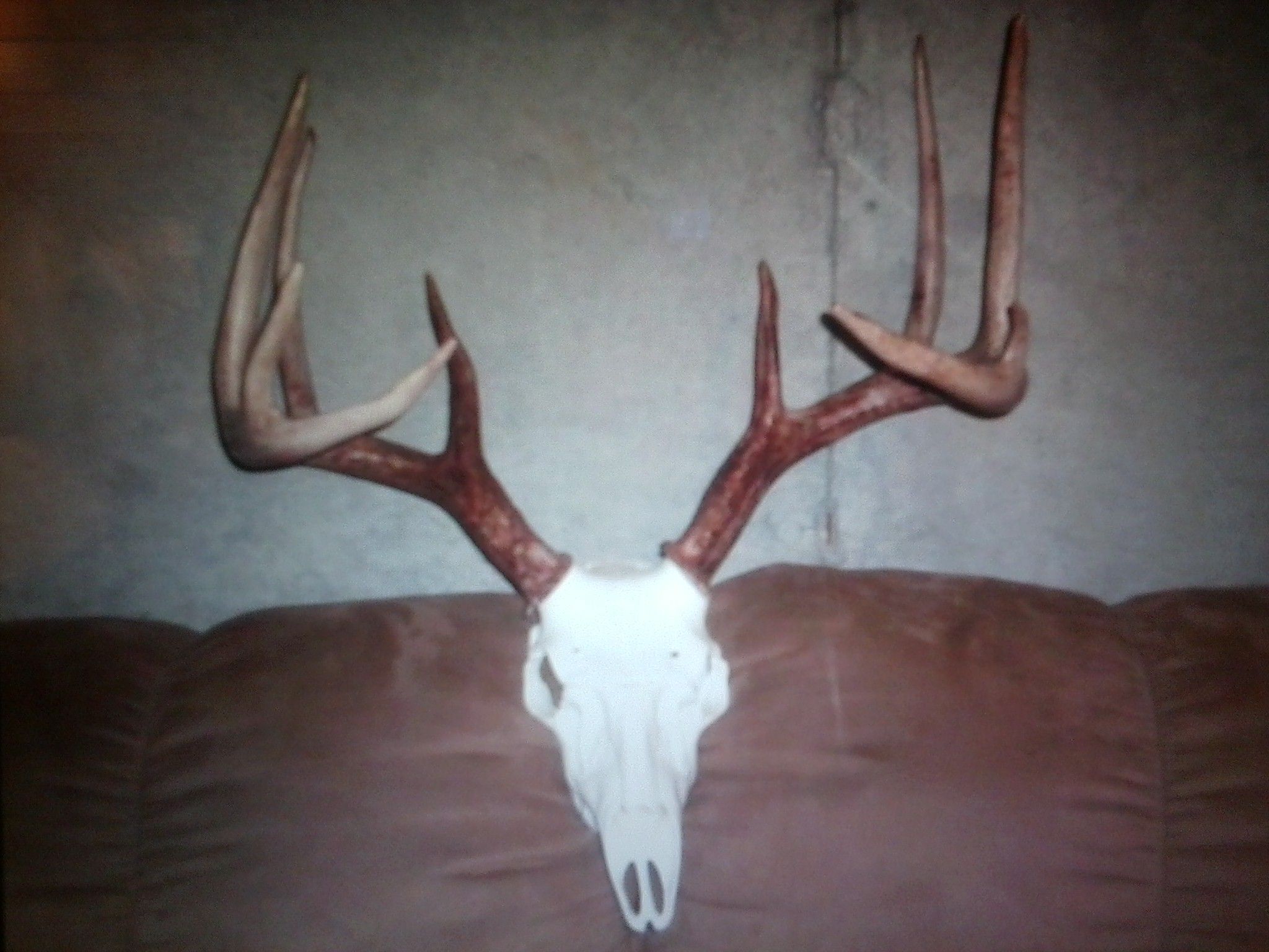 2012 Shotgun Self Mount