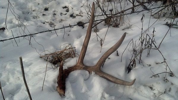2012ATL 62 inch side. 13 inch G2