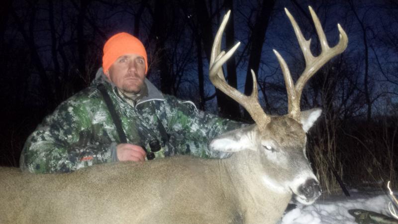 2013/14 muzz buck. 144 gross with 6 inch bases!