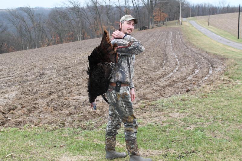 2013 bird