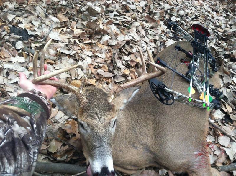 2013 buck