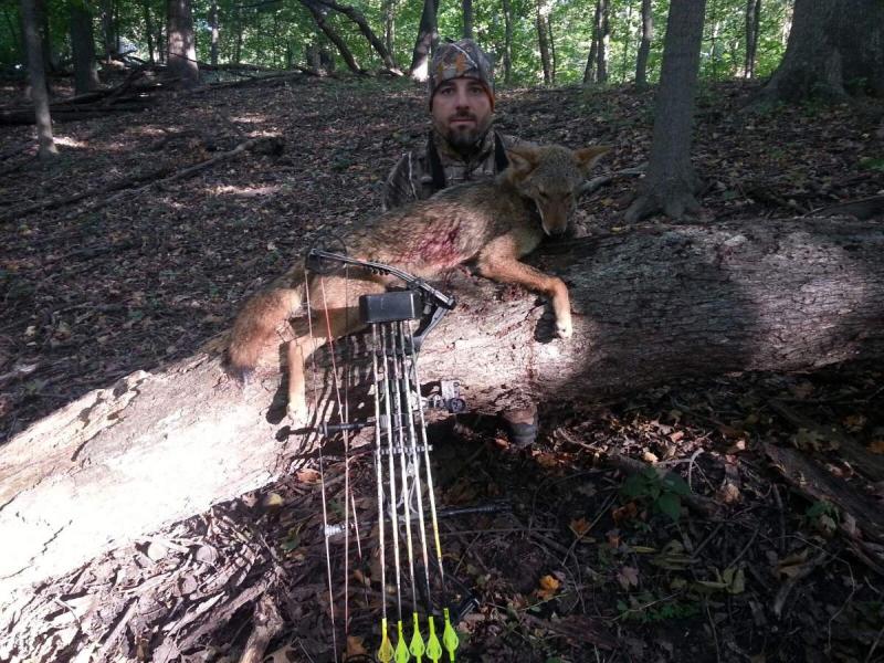 2013 Coyote