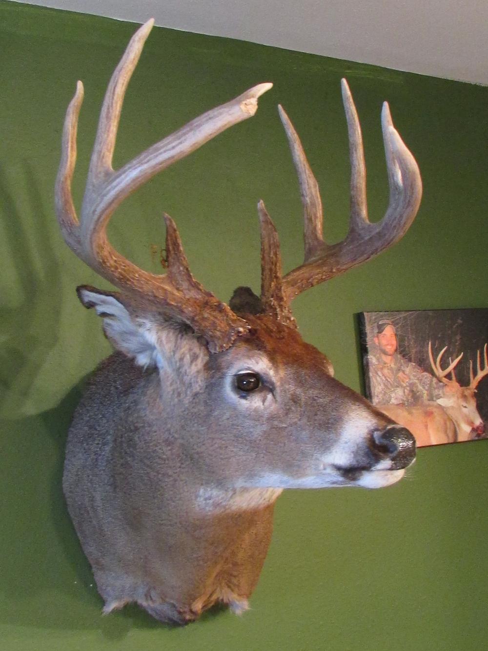 2013 mount right side