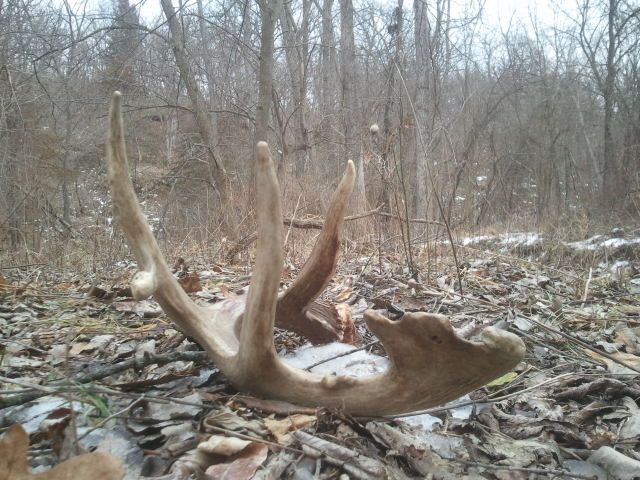 2013 Sheds