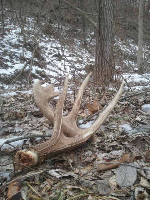 2013 Sheds