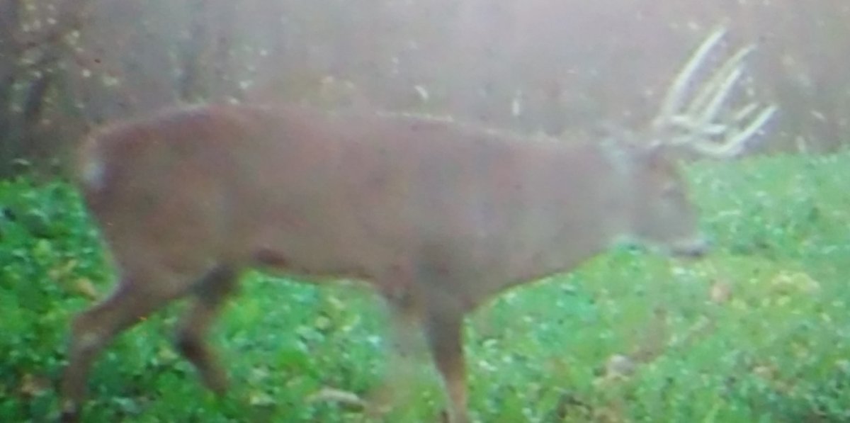 20161108_181846.jpg