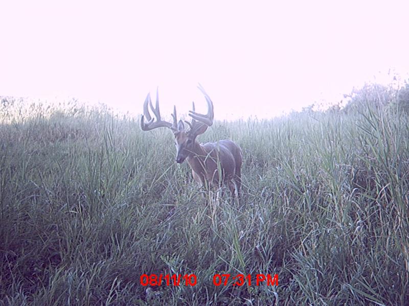 235"