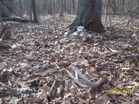 3/21/2010 Shed
