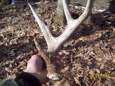 3/21/2010 Shed