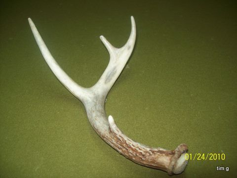 3 Rd Shed