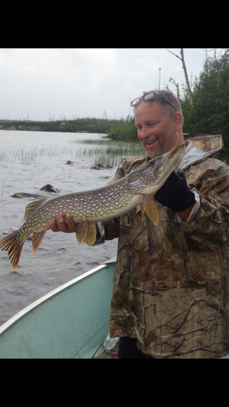 34 inch pike