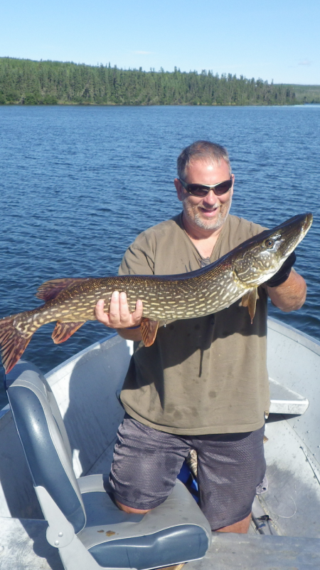 37 inch pike1