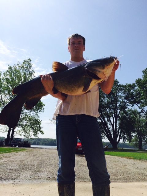 50lb Flathead