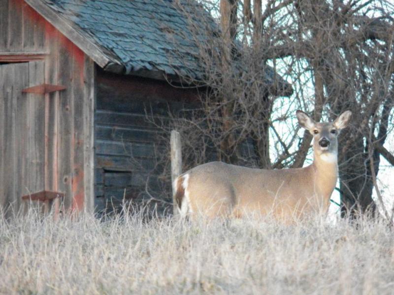 541421 10200098898049973 193251816 n