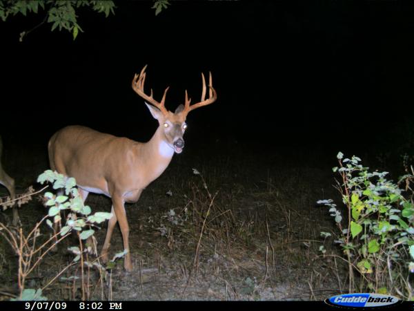 5677-trail Cam 062