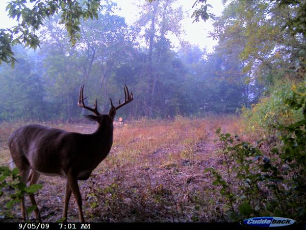 5677-trail Cam 065