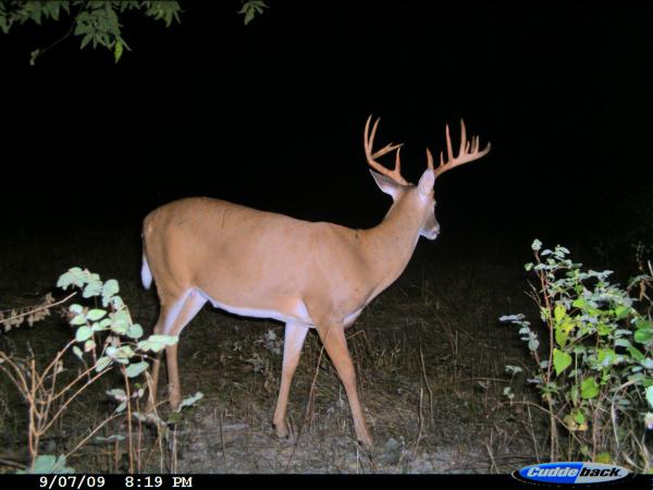 5677-trail Cam 077