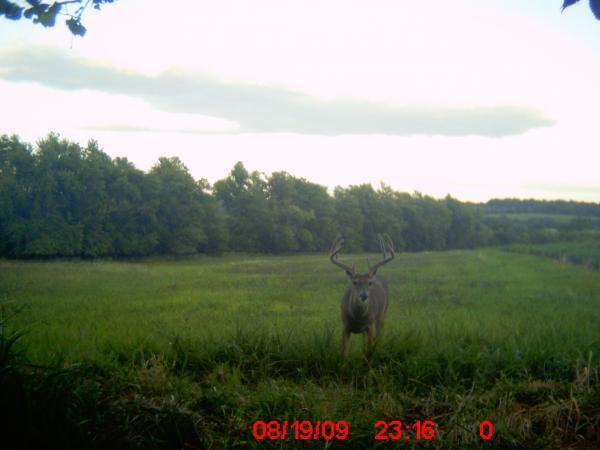 5677-trail Cam 219