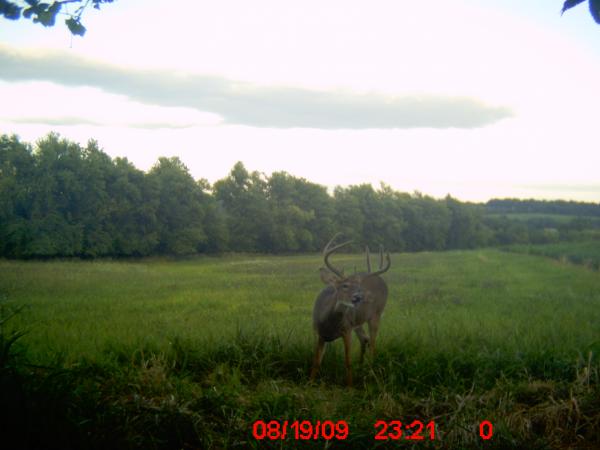 5677-trail Cam 222