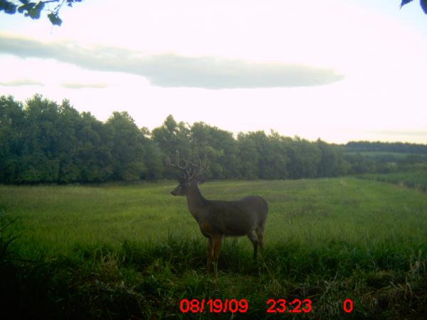 5677-trail Cam 224