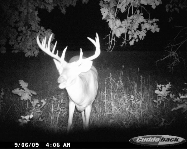 5677-trail Cam 341