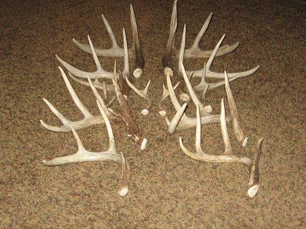 773-2010 Sheds 014