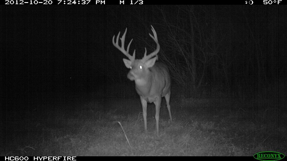 773-trailcam 2012 0642