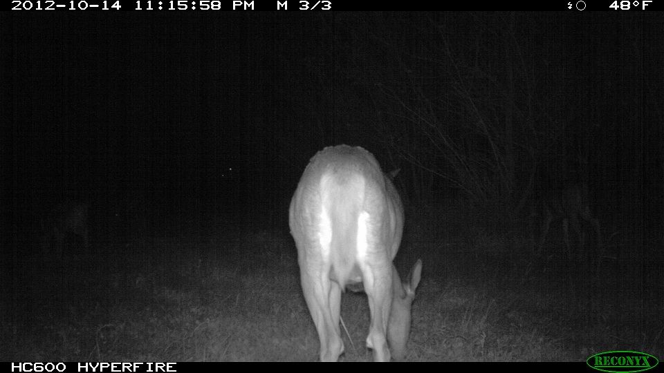 773-trailcam 2012 5372